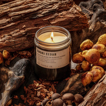 Enoki Cedar Alchemy Candle