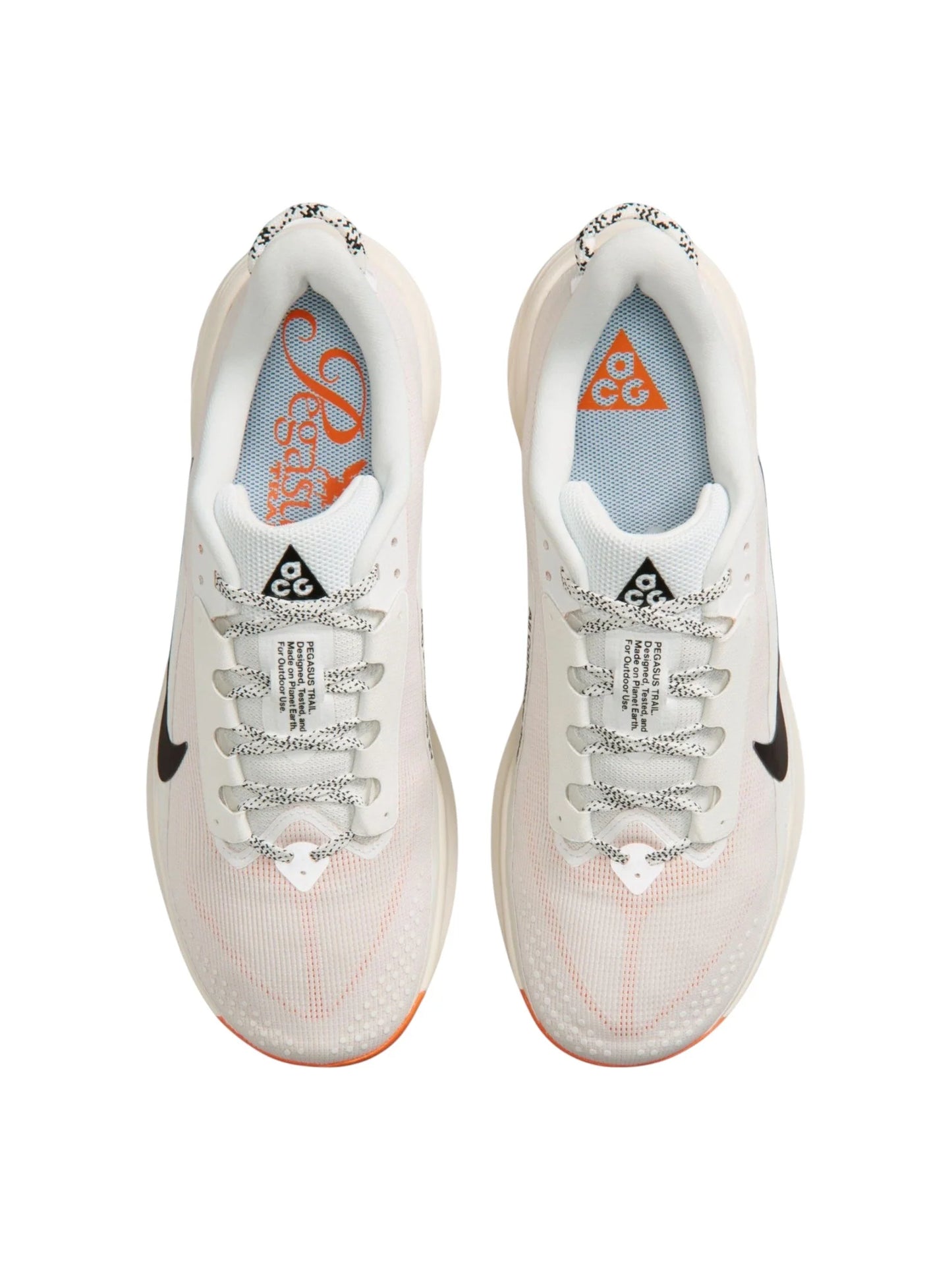 Nike ACG Pegasus Trail Mens Shoes