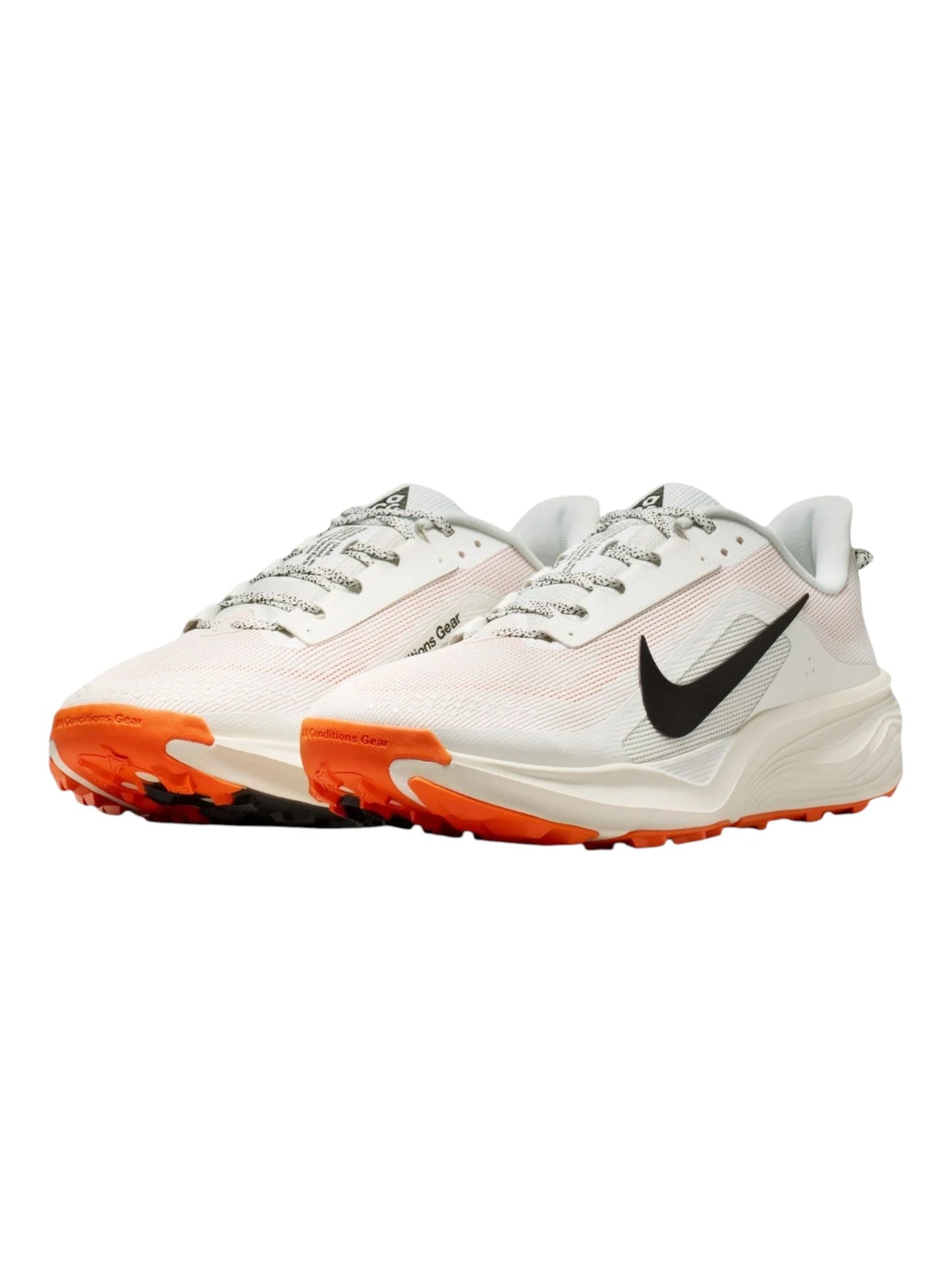 Nike ACG Pegasus Trail Mens Shoes