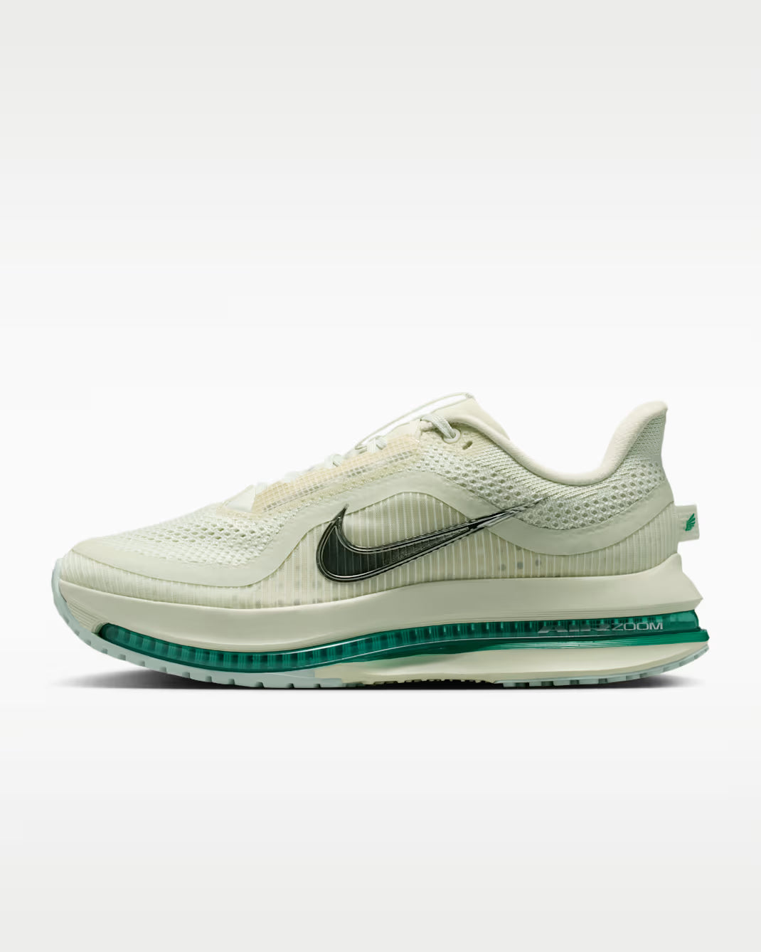 Womens Nike Pegasus Premium