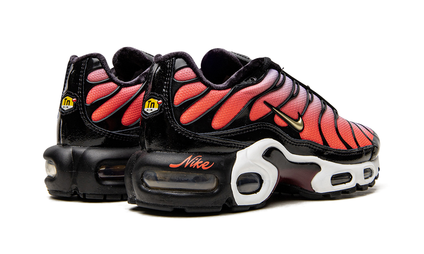 AIR MAX PLUS MNS WMNS"Sisterhood" DO6115 500