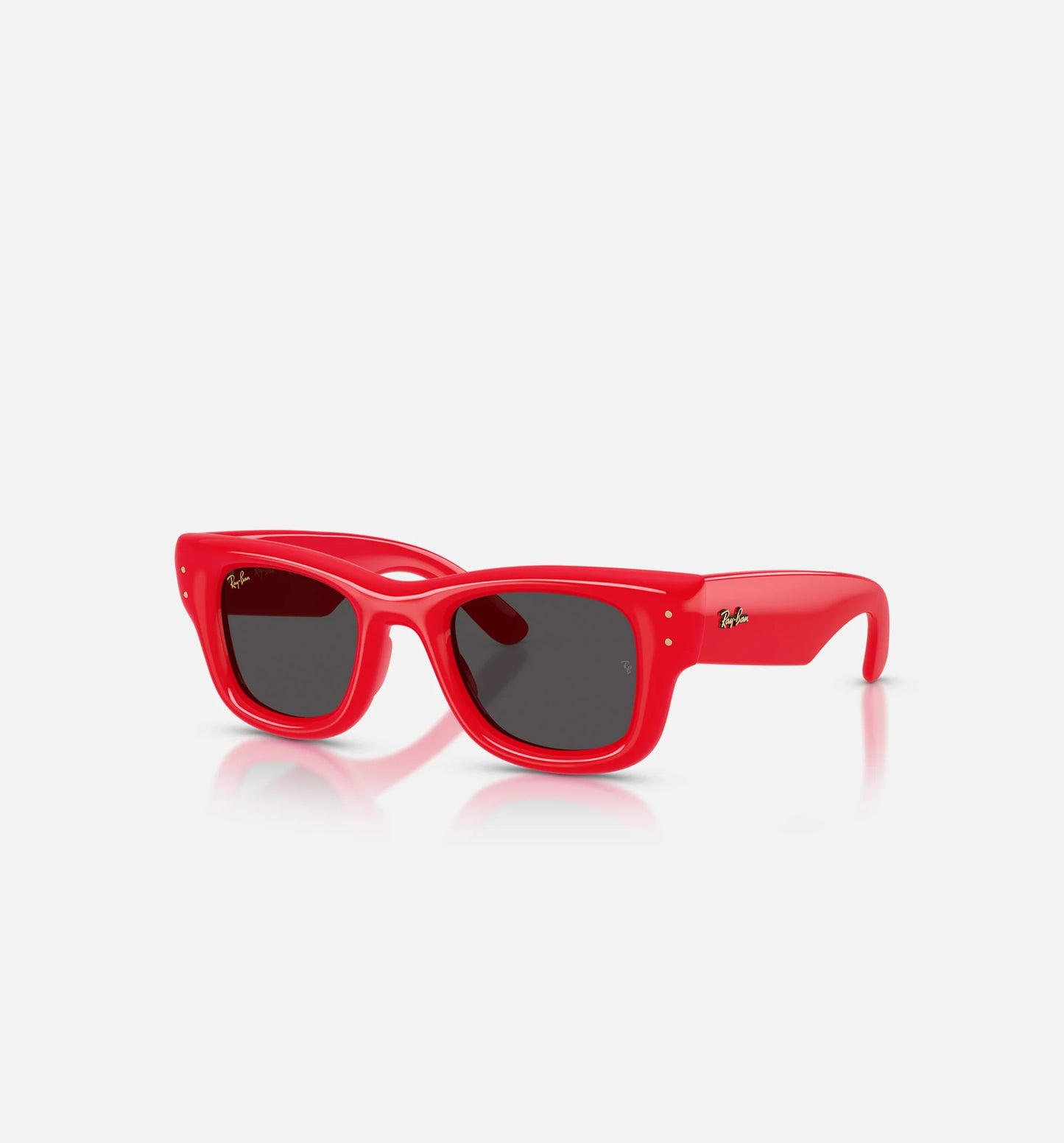 AAP Rocky x The Wayfarer Puffer Mens Sunglases Red