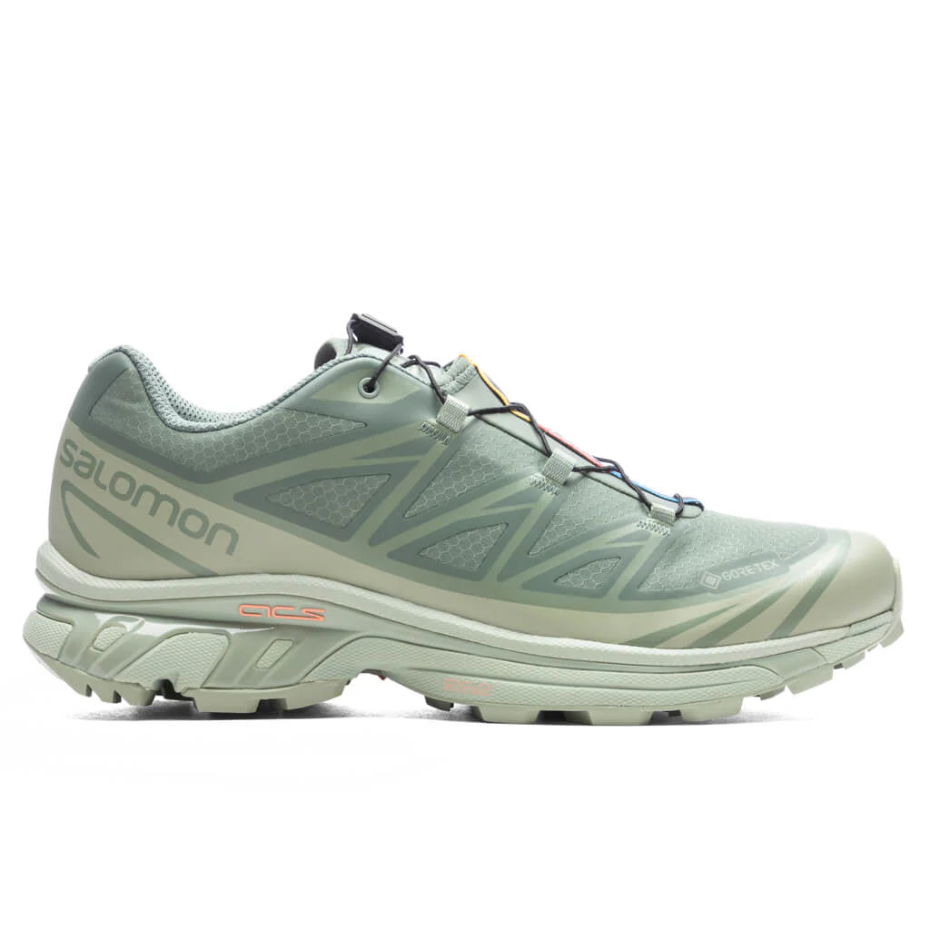 XT 6 GTX Desert Sage Lily Pad Laurel Wren