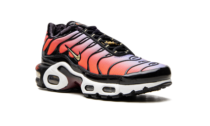 AIR MAX PLUS MNS WMNS"Sisterhood" DO6115 500