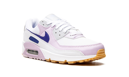 AIR MAX 90 WMNS DX3316 100