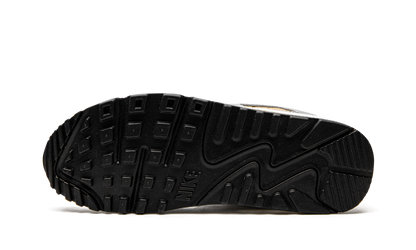 AIR MAX 90 SE MNS WMNS"Metallic" DJ6208 100