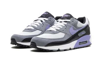 Air Max 90 "Light Thistle" DM0029 014