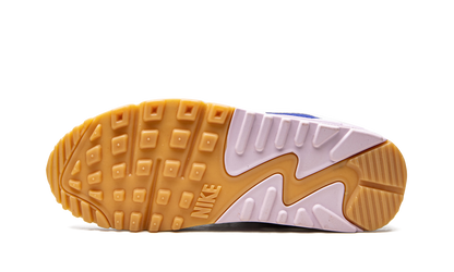 AIR MAX 90 WMNS DX3316 100