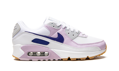 AIR MAX 90 WMNS DX3316 100