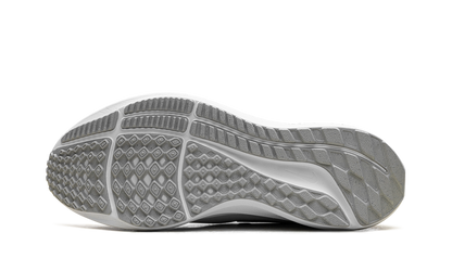 Air Zoom Pegasus 39 Wmns"White" DH4072-100