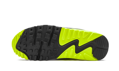 AIR MAX 90 WMNS"Volt" CD0490 101