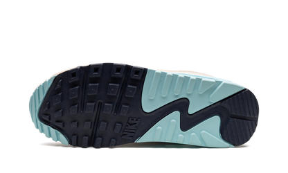 AIR MAX 90 WMNS"air max 90 sail copa" DQ4699 100