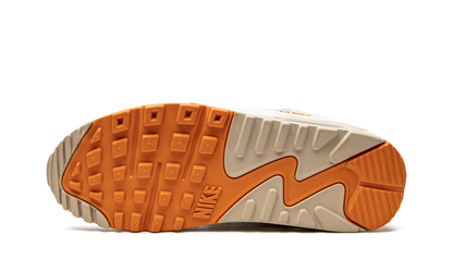 AIR MAX 90 SE WMNS DQ8593 001