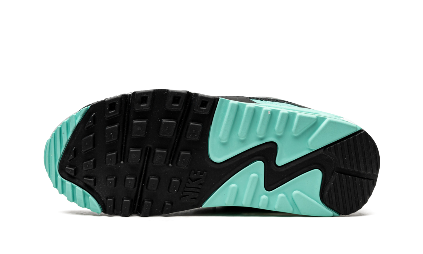 AIR MAX 90 WMNS"Turquoise" CD0490 104
