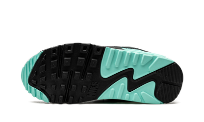 AIR MAX 90 WMNS"Turquoise" CD0490 104