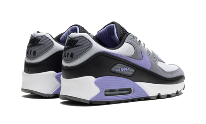 Air Max 90 "Light Thistle" DM0029 014