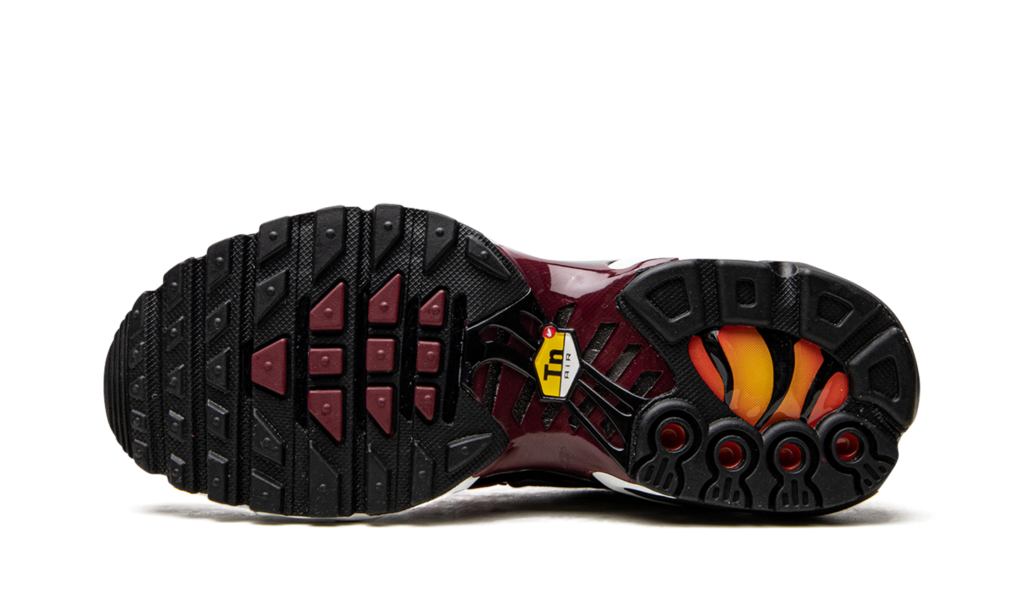 AIR MAX PLUS MNS WMNS"Sisterhood" DO6115 500