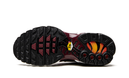 AIR MAX PLUS MNS WMNS"Sisterhood" DO6115 500