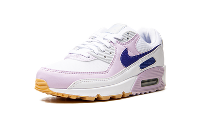 AIR MAX 90 WMNS DX3316 100