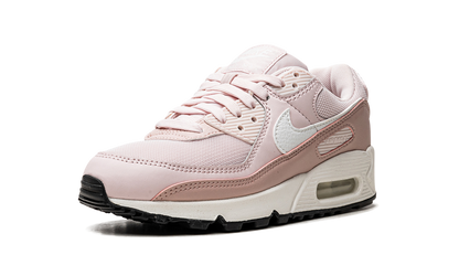 AIR MAX 90 MNS WMNS DH8010 600