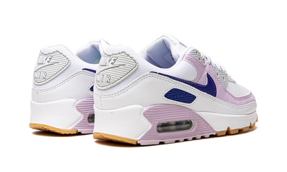 AIR MAX 90 WMNS DX3316 100